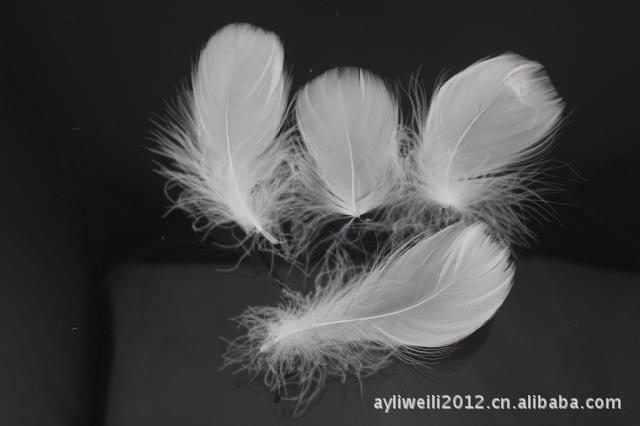 【天然羽毛鹅毛大飘染色羽毛多色可选厂家直销