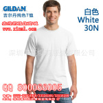 高档纯棉吉尔丹180克男女情侣衫多色运动衫班服工作服定做深圳