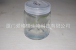 文竹苗 组培苗