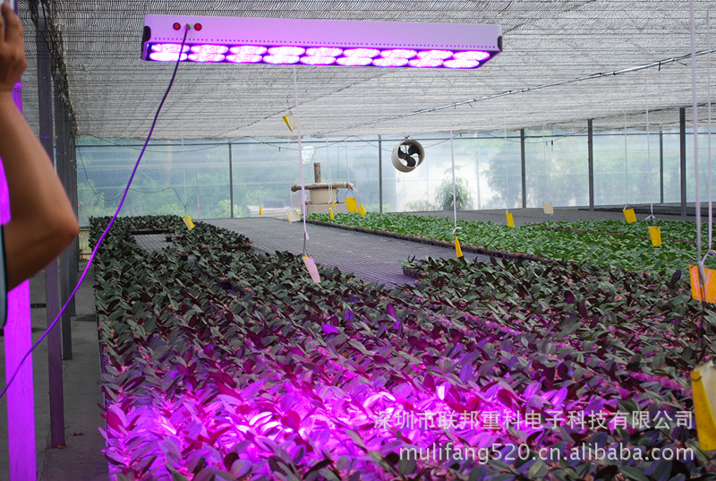 LED植物生长灯-apollo 4植物补光灯 室内种植灯