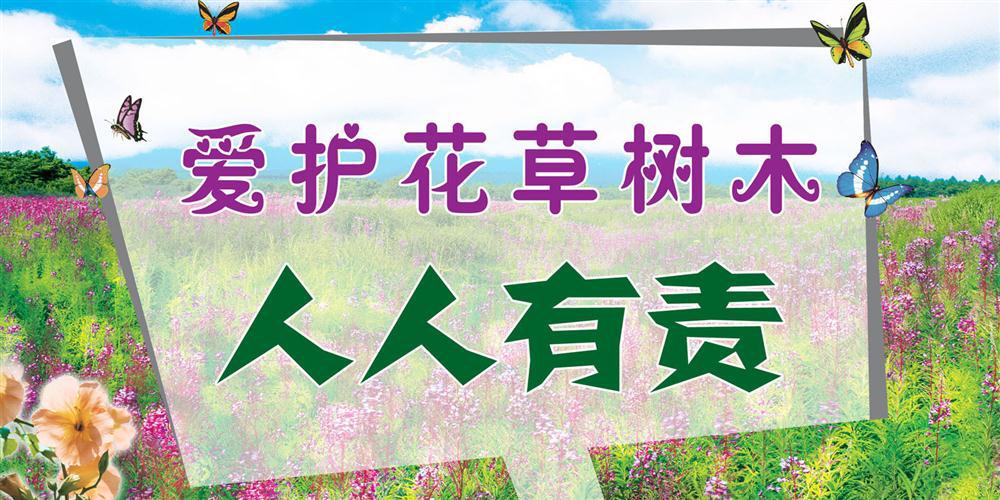 8爱护花草树木(第1课时)