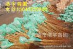 山桃稠李苗 山桃稠李小苗价格 辽宁山桃稠李价格