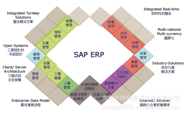 【SAP Business All-in-One解决方案 (大型企事