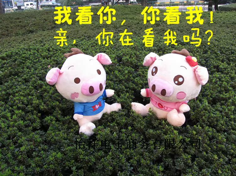 萌萌萌可爱情侣猪猪毛绒玩具公仔 <em>送女友的</em>礼