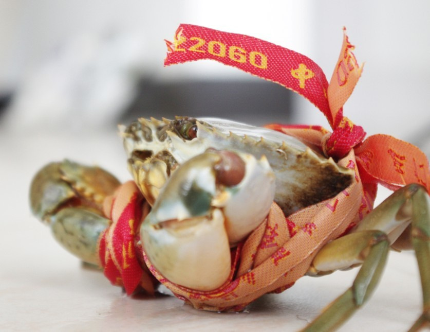 【三门锯缘青蟹(宁波专卖)】