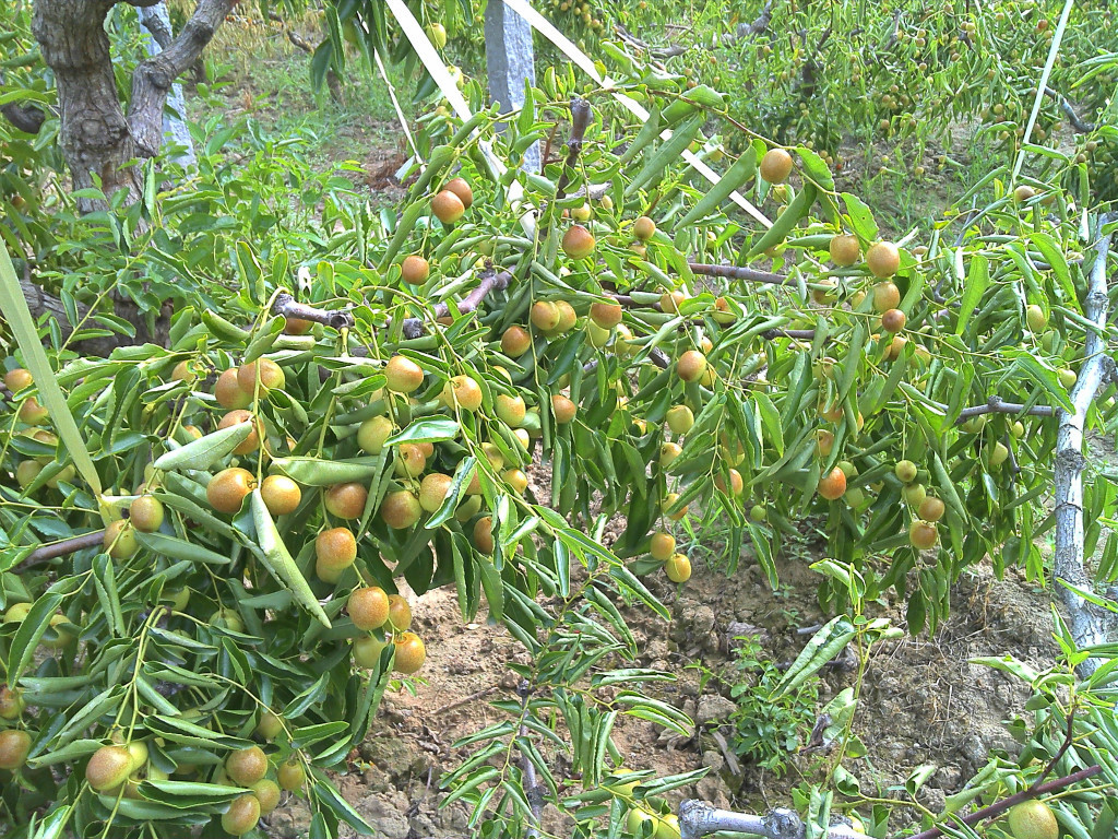 IMG_20120806_092812_0