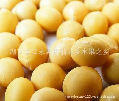 【绿色有机无公害大豆黄豆绿豆黑豆产地直销】