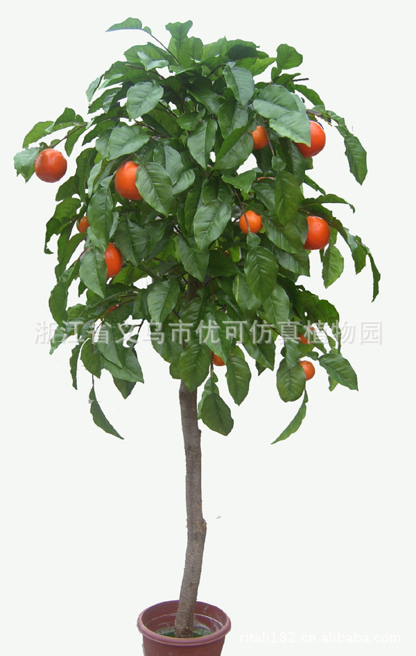 【仿真植物 仿真树 覆雪的橘子树 桔子树】价格