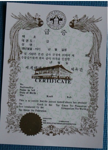 厂家直销最新版跆拳道证书(中文版) 级别证书,跆拳道协会证书