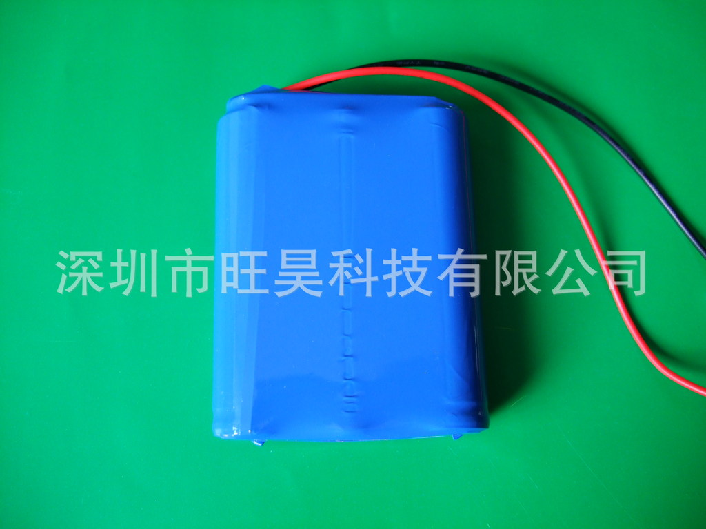 12vLED应急灯电池\/照明应急灯电池\/ 消防应急