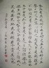 ����Ӧ�й��鷨��Э���ҳչ������Ʒ�ֲ�    