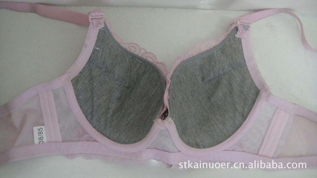 批发采购<em>文胸</em>-<em>雅莲露</em> 绣花 印花 烫钻聚拢<em>文胸</em>