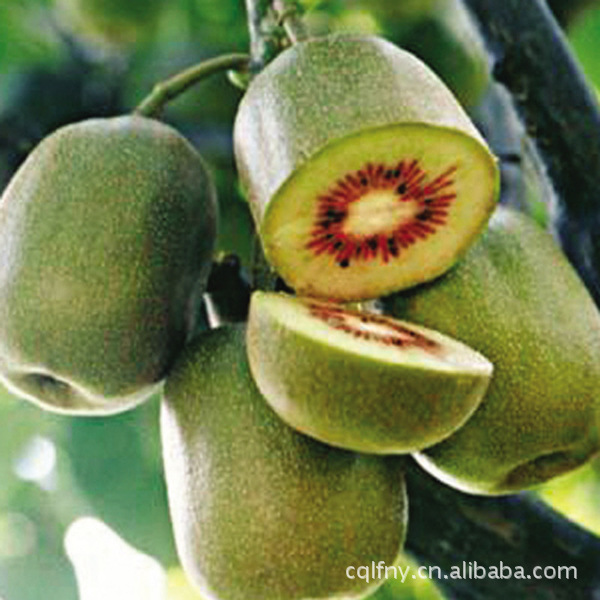 红心猕猴桃图片,红心猕猴桃图片大全,重庆市涪