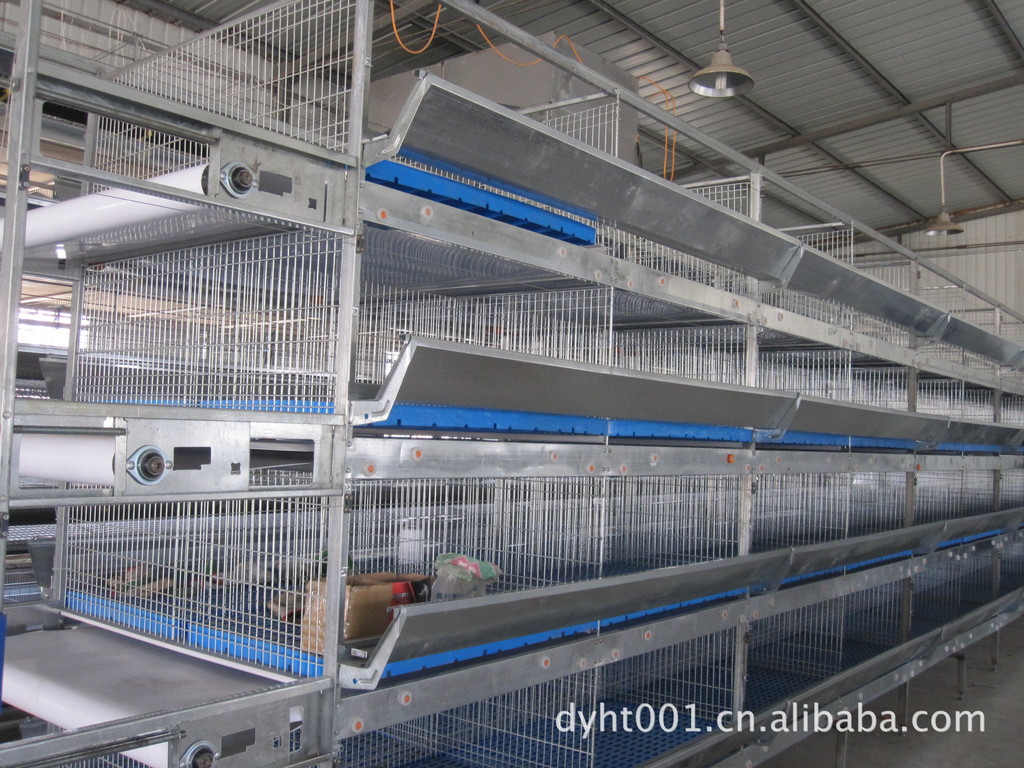 【自动化蛋鸡笼养设备】