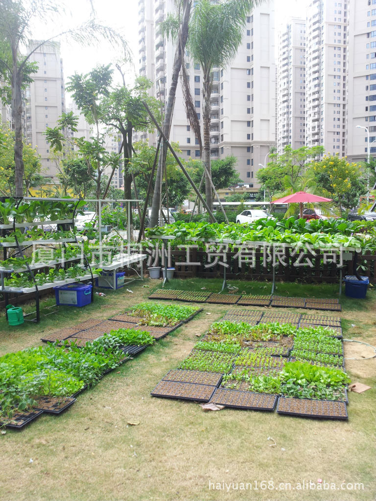 供应绿色无公害无土栽培庭院菜园种菜设备城市农夫庭院屋顶菜园