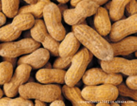 植物提取物-长沙厂家优质供应花生衣提取物,热