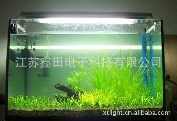 水族器材-供应大型水族箱鱼缸灯管,金斗鱼专用