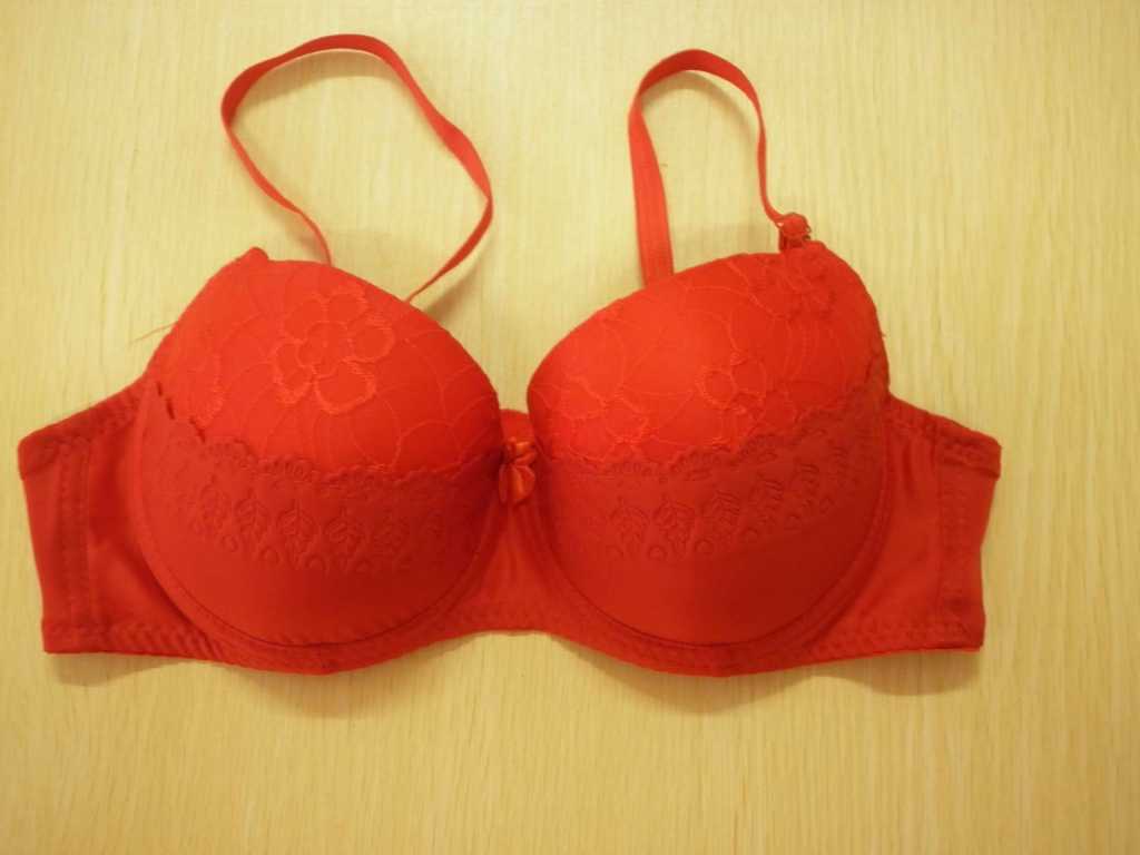 承接订单 爆款<em>胸罩</em> 花边丝带 聚拢<em>文胸</em> Coobie