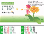 特种纸/印刷/彩色名片/名片设计/进口荷兰白