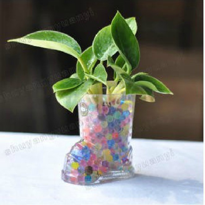 花卉水培植物专用玻璃瓶图片,花卉水培植物专