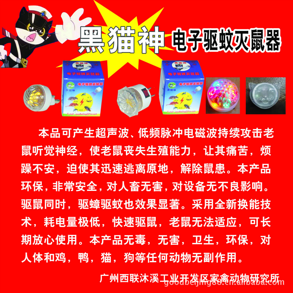 黑貓 拷貝