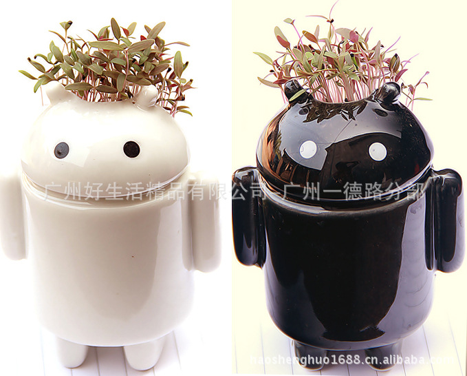 超萌安卓机器人植栽造型浪漫唯美爱情草种子