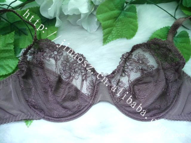 <em>文胸</em>-外贸欧美<em>文胸32,34,36</em>,38C,D,DD,E,F-文