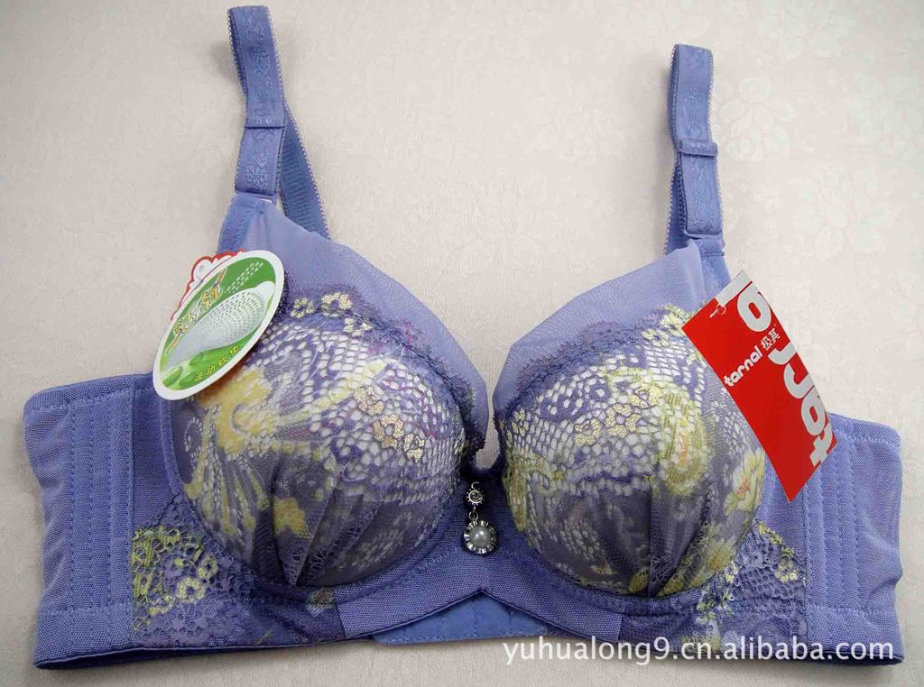 【厂家批发 聚拢调整型 时尚女士<em>文胸</em> 天姿<em>戴丝</em>