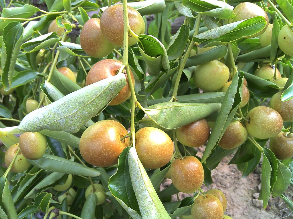 IMG_20120806_092820_0