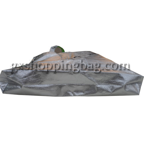 GX2012092 轻便pp无纺布手提袋 环保购物袋 