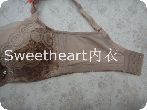 <em>黛安琪</em>内衣<em>文胸</em>批发 2012秋冬新款 立体厚杯性