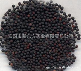全国招商王不留行Cowherb Seed批发供应中药材 进出口代理