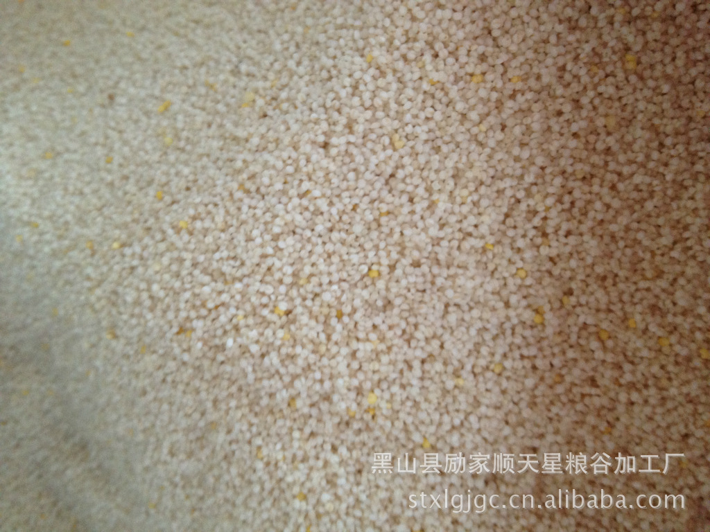 2014新米 优质色选白小米 出口级小米 送礼首选 绿色食品