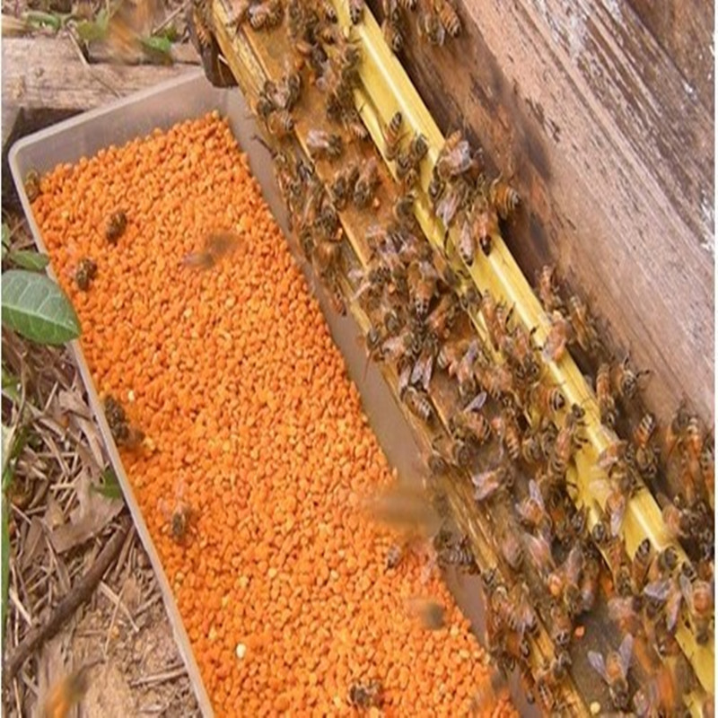 天然蜂花粉生产厂家 玉米粉 葵花粉 杂花粉批发