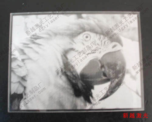XY-042Y