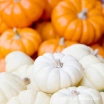 ��Ӧ�滨��� ���й۹� �����Ϲ�--��ͯ��Ů�Ϲ�����