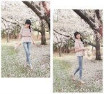 ��Ů�� �黨��Ҷ���������� ѩ���� ������˴���