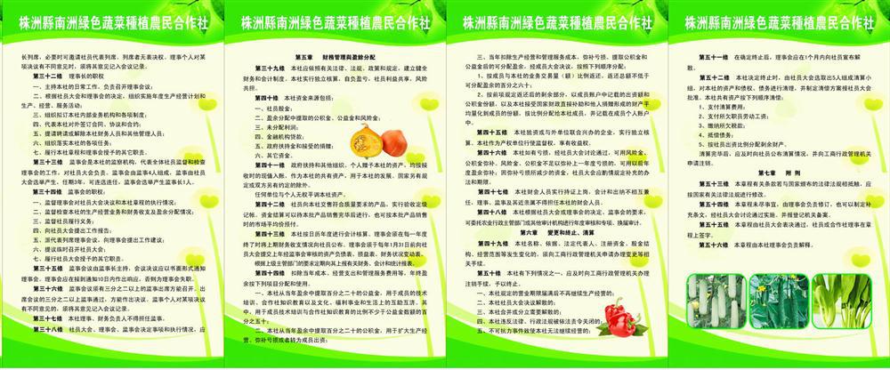 办公装饰4199绿色蔬菜种植农民合作社章程3图