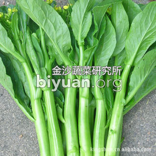 80天油绿菜心种子 迟菜心种子 蔬菜种子 油菜 菜种子 批发 晚熟