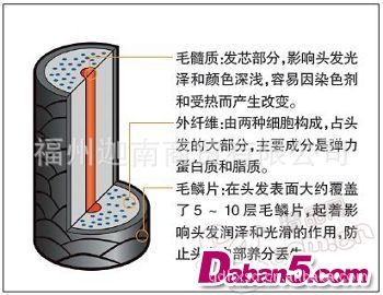 厂家直销 头套 顶递针头套 全手织假发 真发假发  真发批发 100%人发 