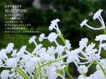 ��Ӧ���պ��硿Ӱ¥�������� ������̻��� ��������������