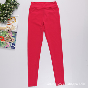 加工款时尚前卫女款打底裤外销款/订做请来电