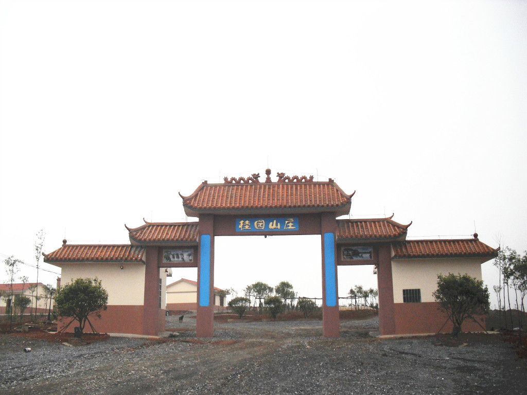 供应比利时野兔\/商品兔\/肉兔 图片