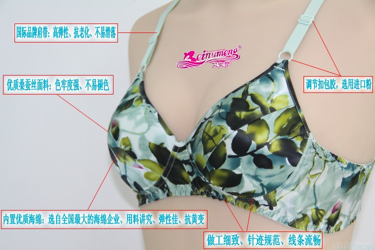 【贝女<em>梦</em>真丝<em>文胸代理</em>合作】价格,厂家,图片,服