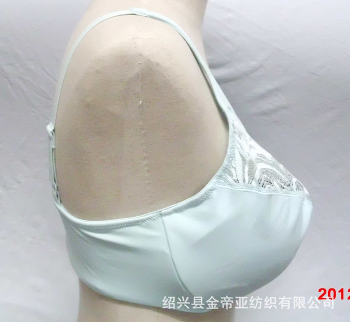 欧美风格蕾丝花边网纱透明内衣、<em>超大</em>D<em>罩杯文</em>