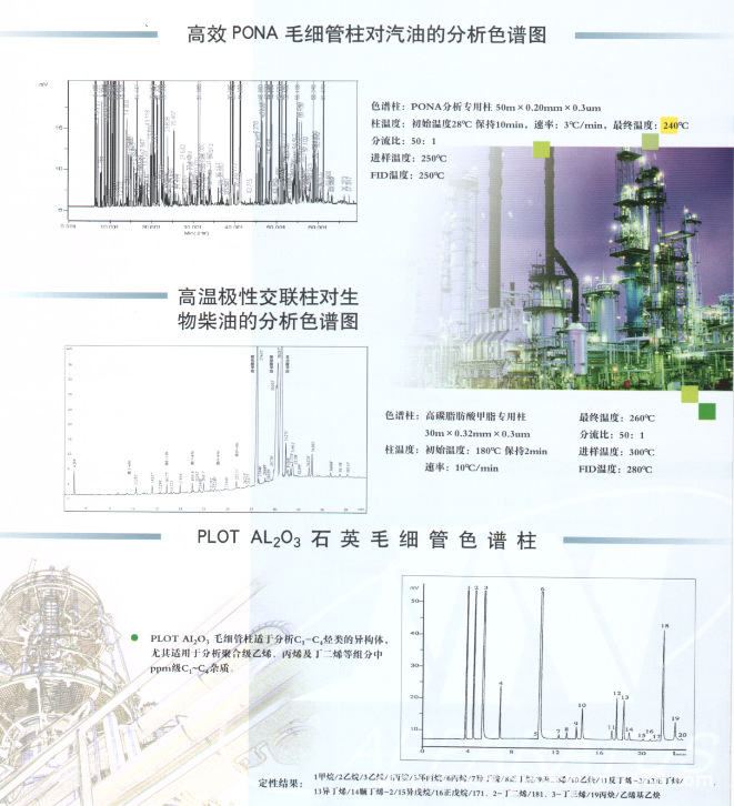 毛细管柱对石油的分析