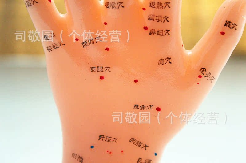 照片 24136_副本