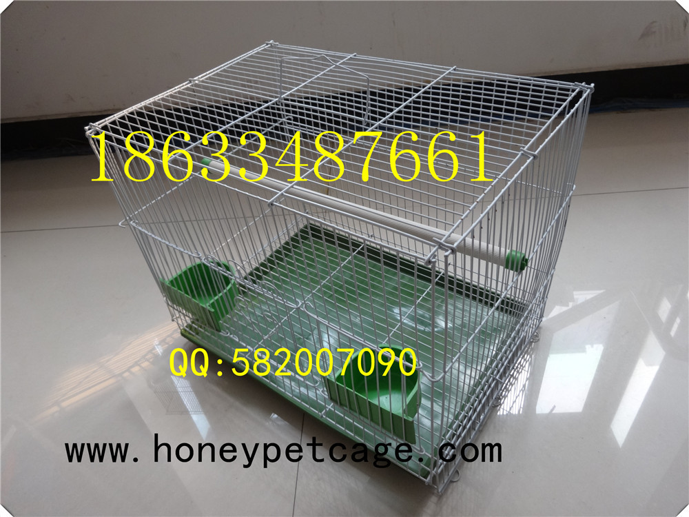 铁丝鸟笼 小群 (4)