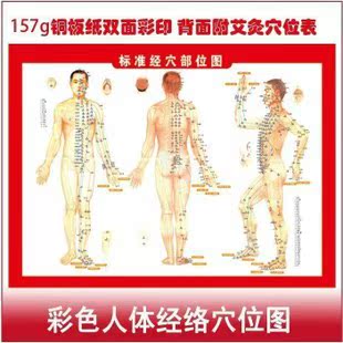 艾灸棒人體穴位經絡圖艾條紙 穴位掛圖工廠,批發,進口,代購