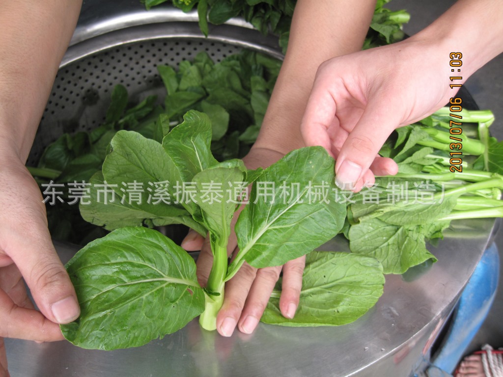 蔬菜脱水机